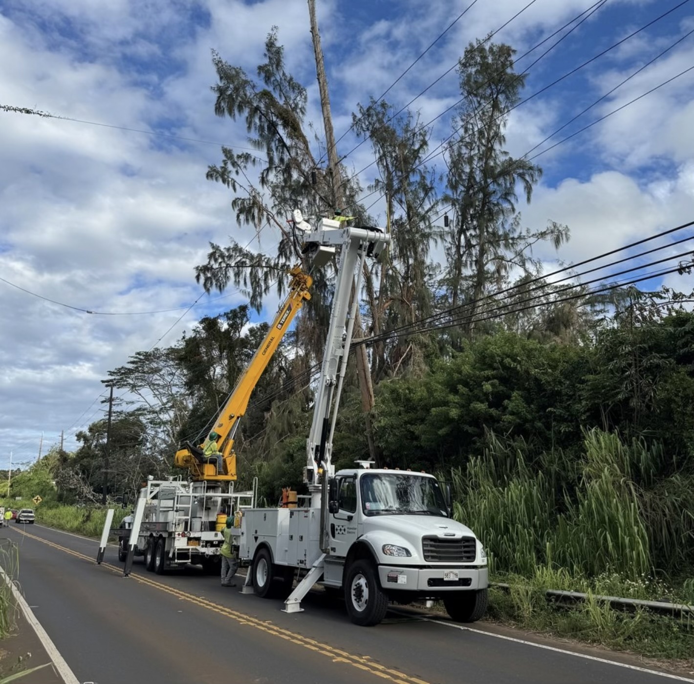 A utility crew works to clear storm-damaged trees from power lines along a Kauai roadway.